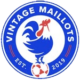 Vintage Maillots